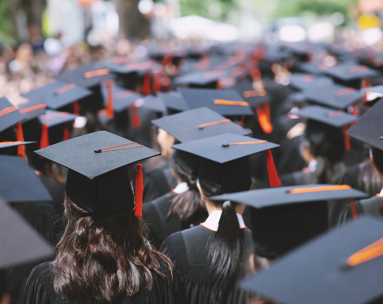 How Do Companies Verify Background Education Check